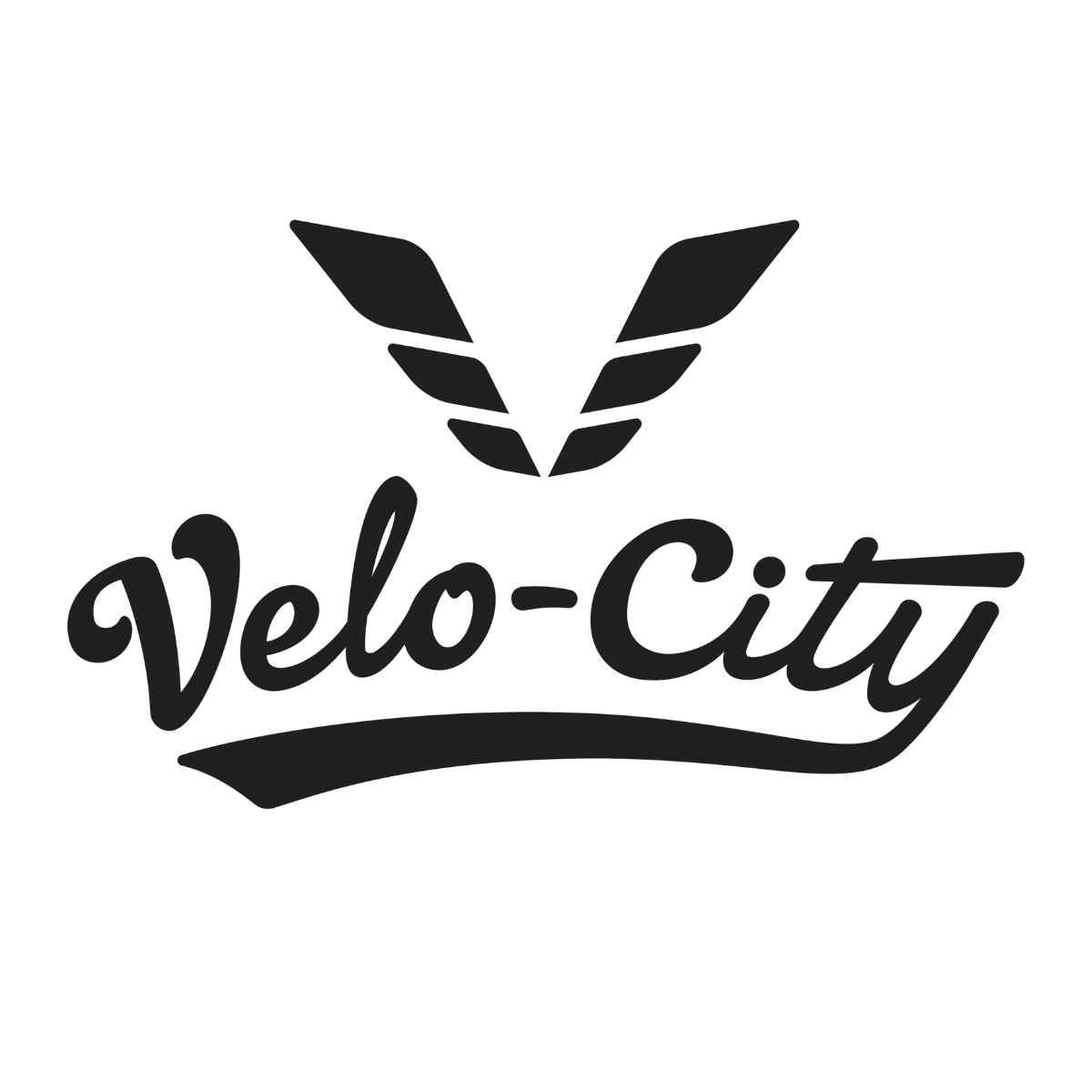 Velo City